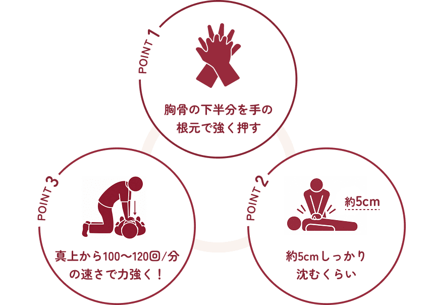 胸骨圧迫能方法